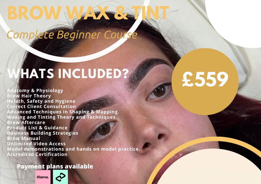 Beginner Brow Wax & Tint 