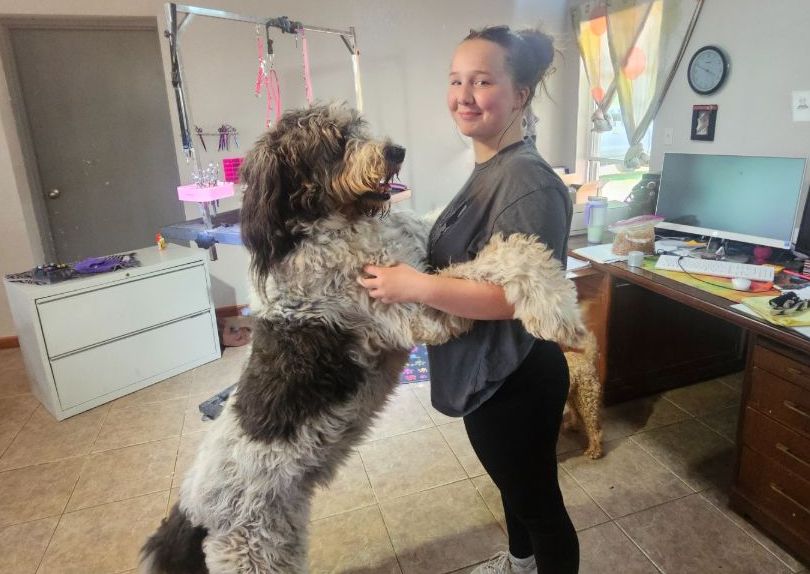 Pampered Pooch XLarge