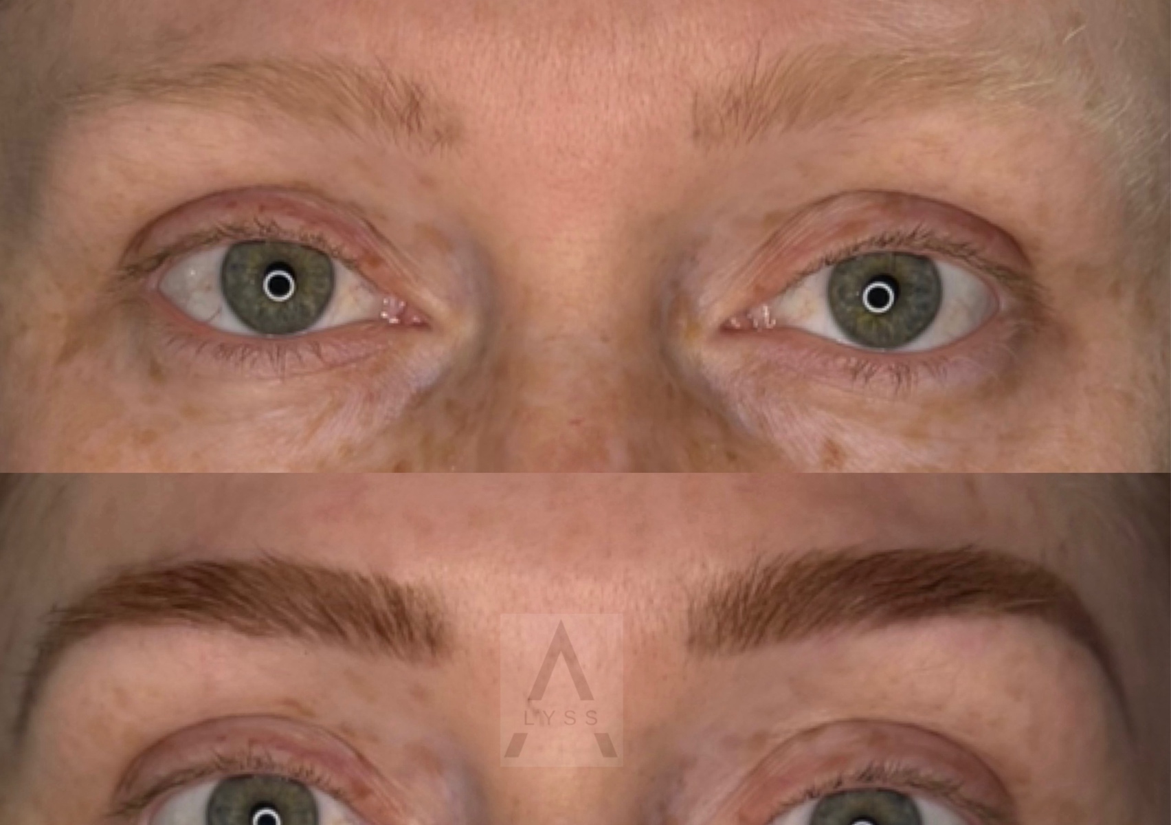 Brow Sculpting + Tint