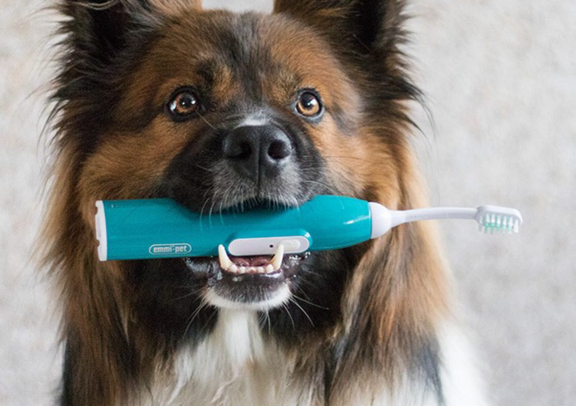 Ultrasonic Teeth Cleaning