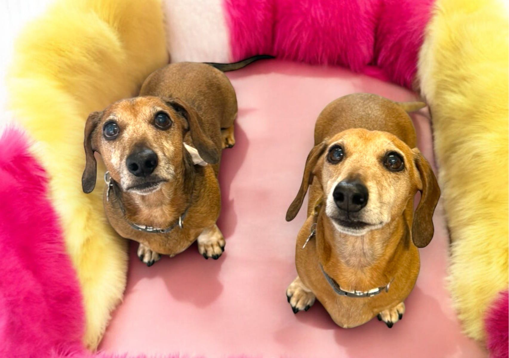 Bath and brush- with Hazel