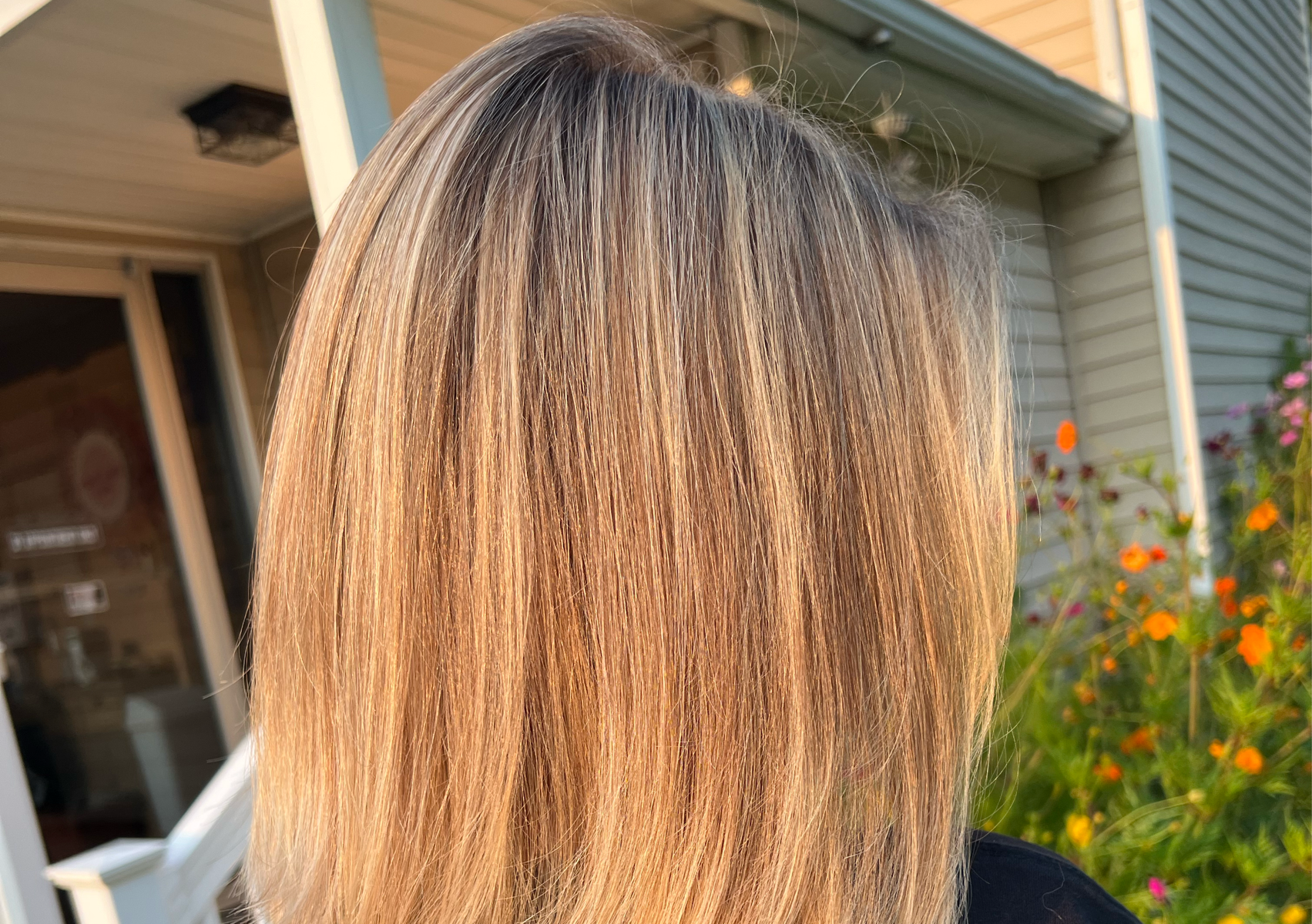 Highlight- with toner- with cut