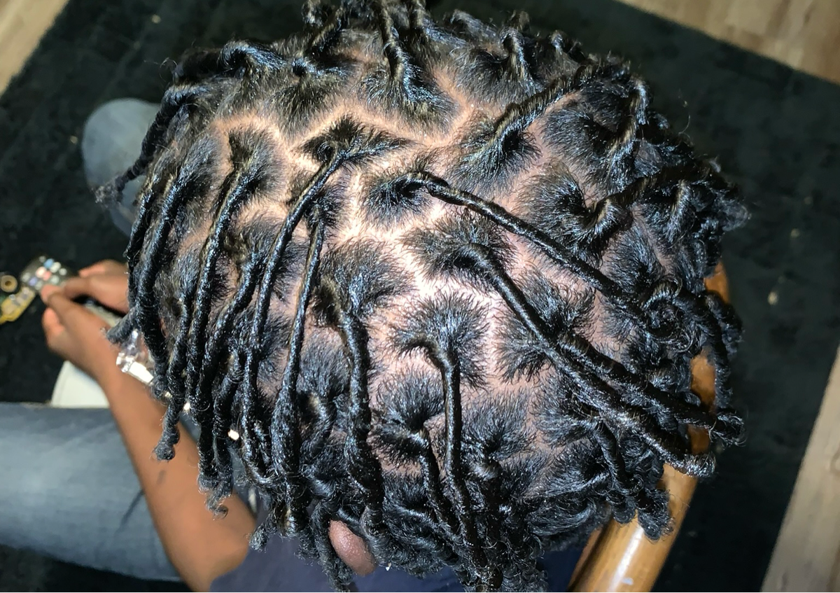Starter Locs