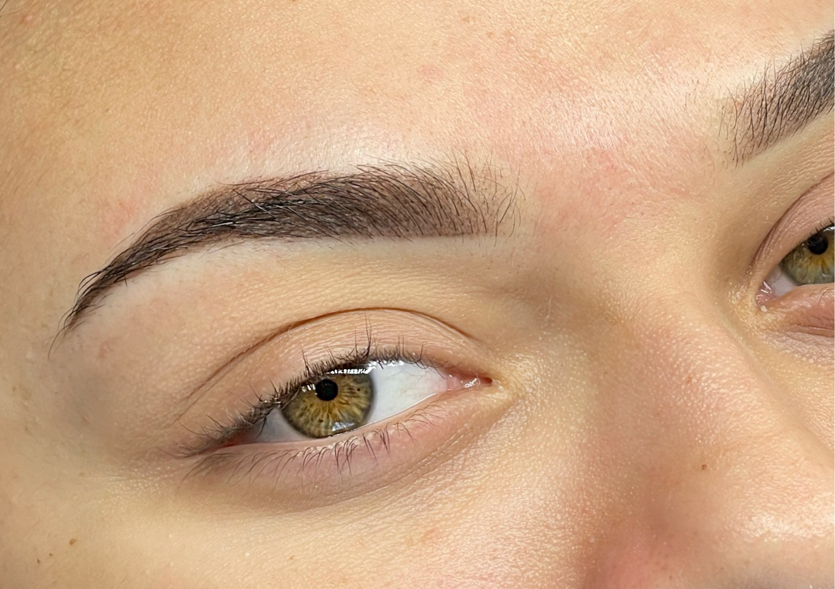Powder Brows (Cejas Maquilladas)