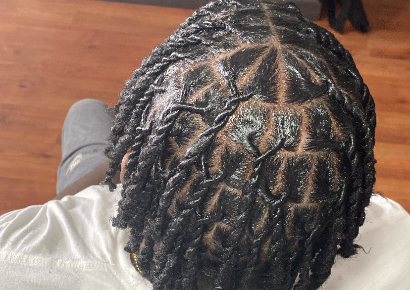 Loc Two Strand Twist 