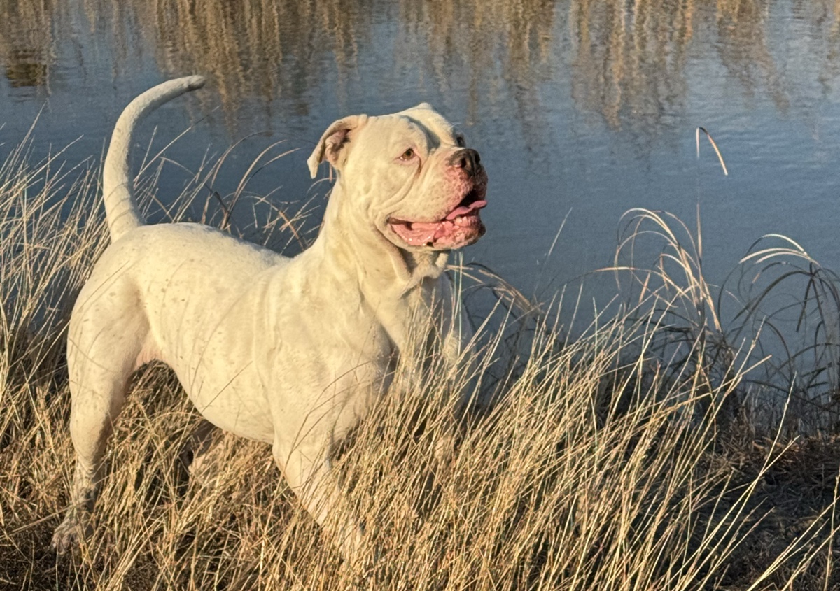Adventure walk 