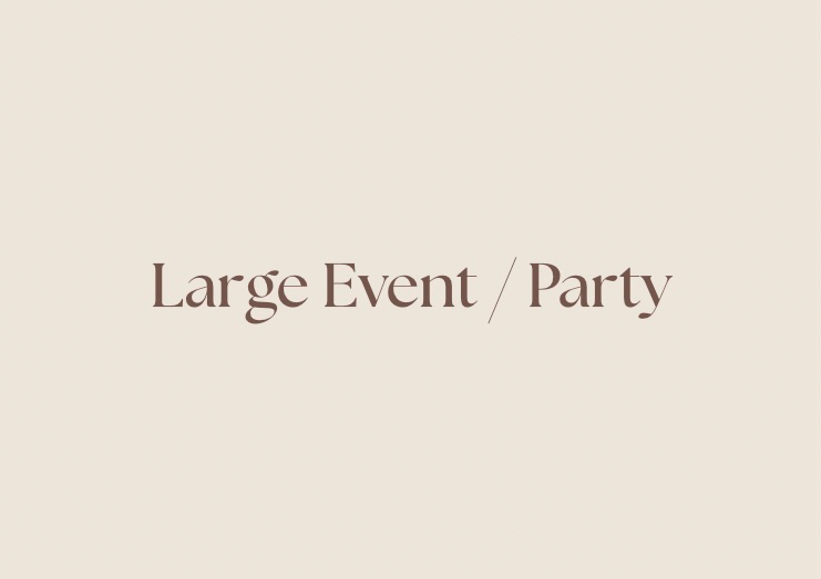 Large Event / Party 