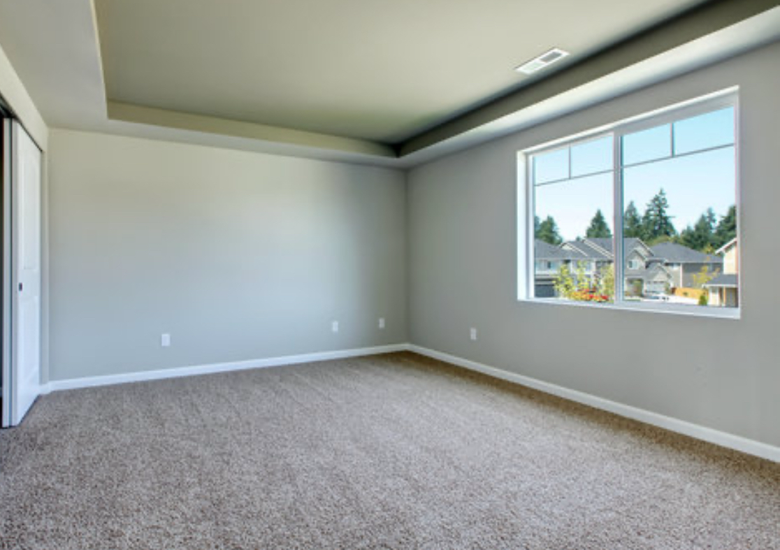 Carpet cleaning  1RM