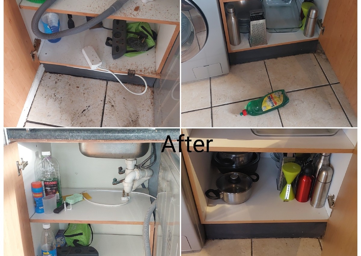 Basic Indoor Cleaning up 2 rooms 