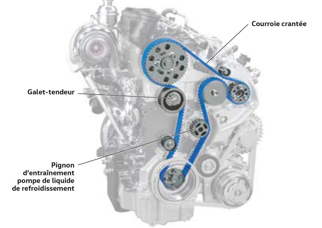 Changement kit courroie de distribution et pompe à eau 