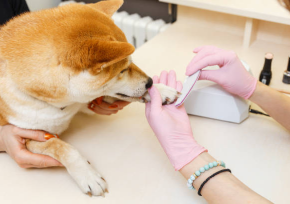 Nail clip with buff down