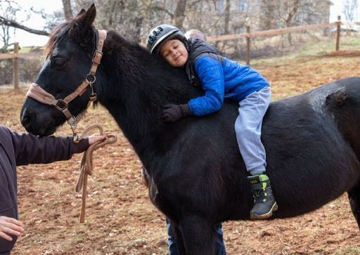 PONY RIDING EXPERIENCE