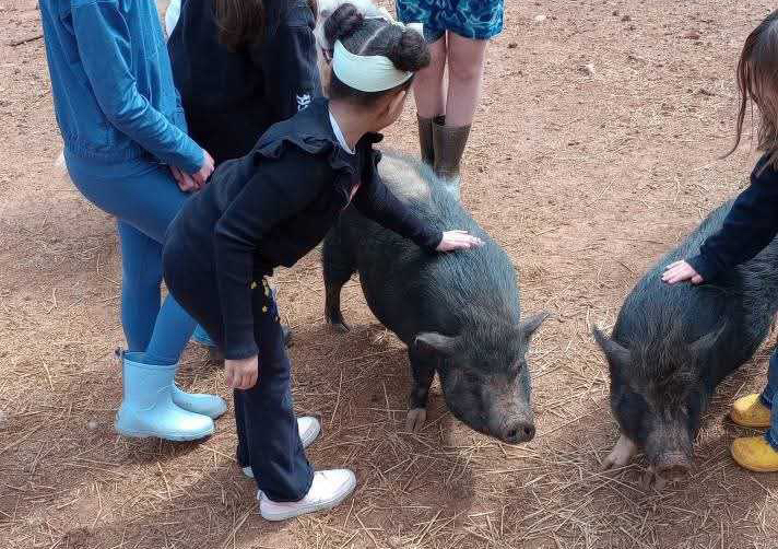 SANCTUARY EXPERIENCE