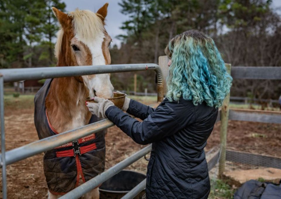 VOLUNTEER EXPERIENCE-GENERAL