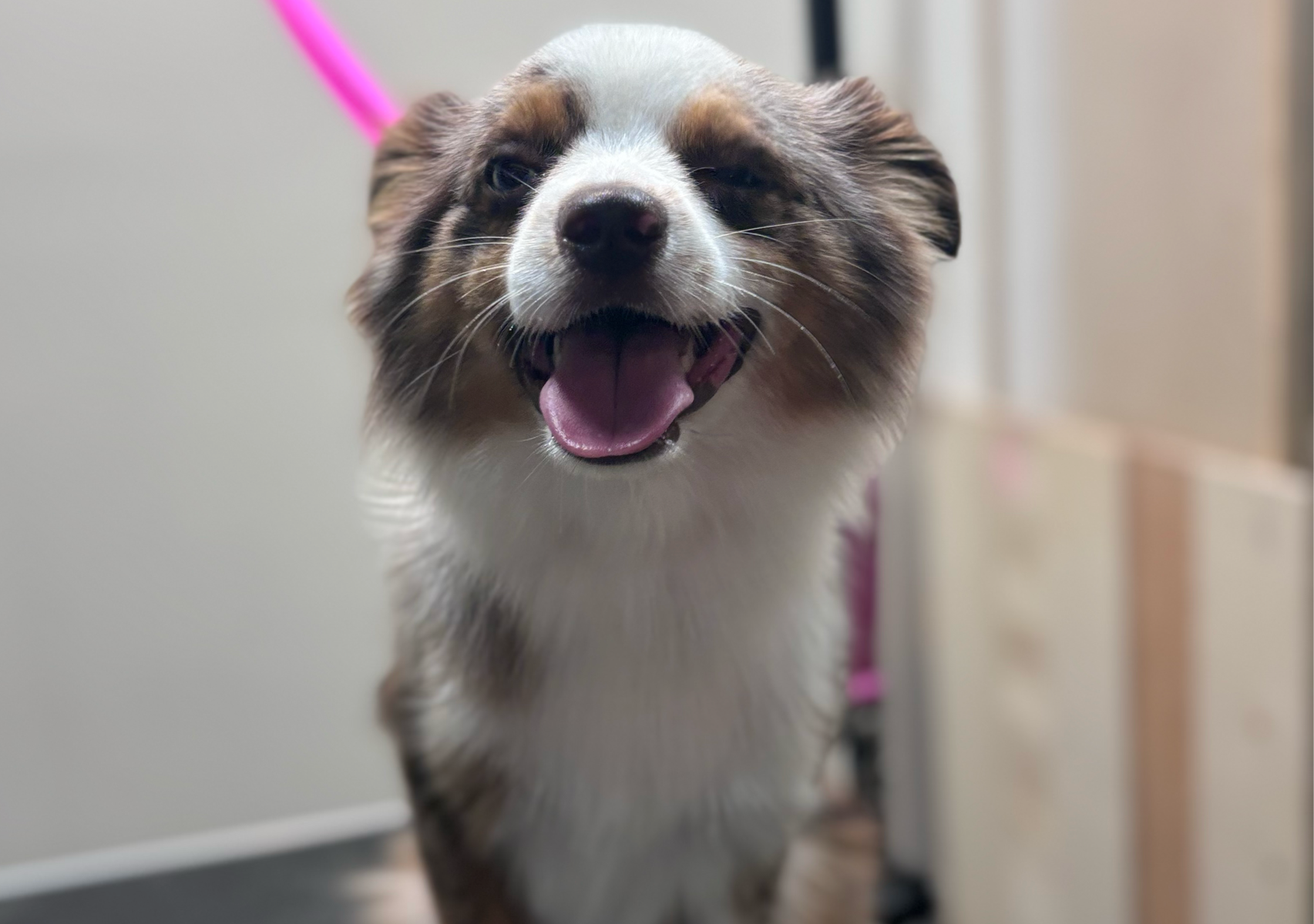 Special Handling Fee