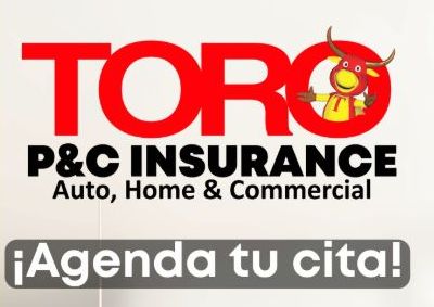 Aseguranza (Auto , Casa y Negocios)