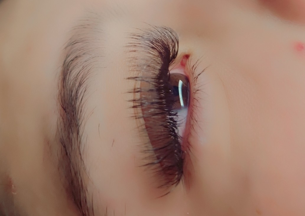 Volume Lash Extension