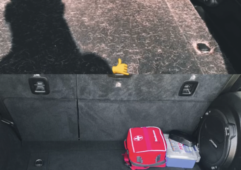 Pet hair removal 🐾🚫