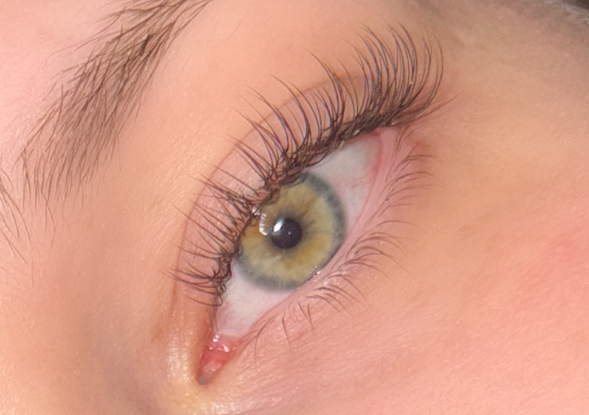 Classic Lashes - Brown 🤎