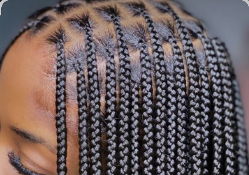 Small ,box braid all includes 
