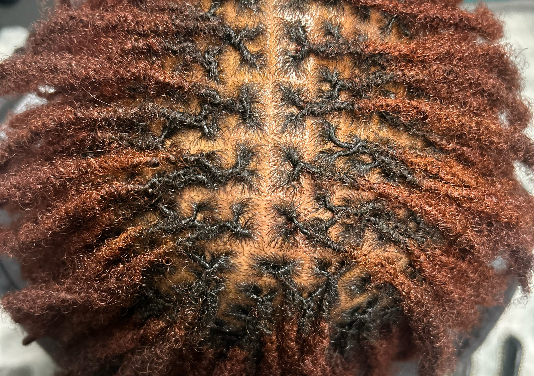 4 Week Max Microloc Retie And Wash  DO NOT BOOK IF YOU HAVE EXTENSIONS!