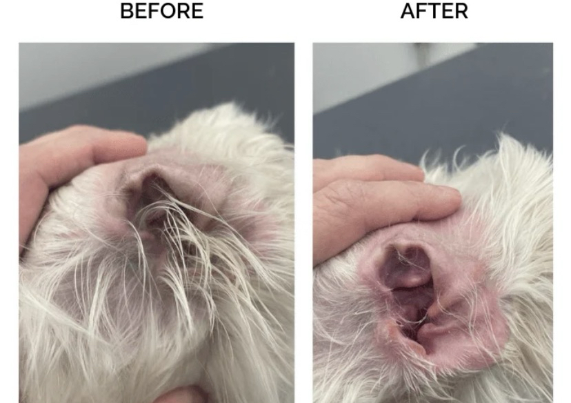 Ear cleaning