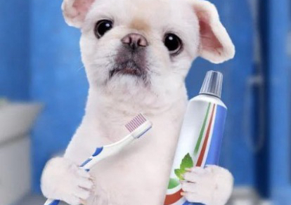 Teeth brushing