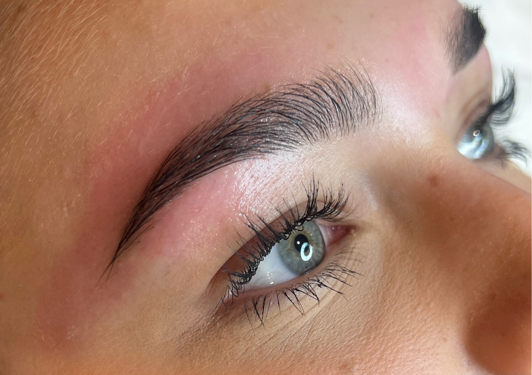 Eyebrow wax & Tint