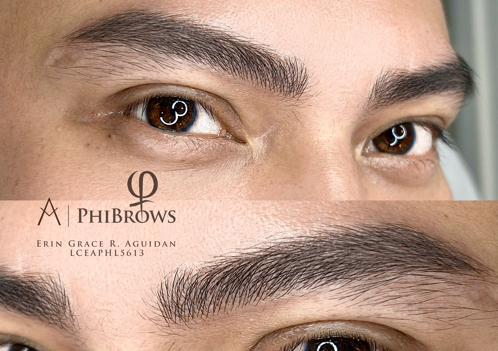 MALE BROWS