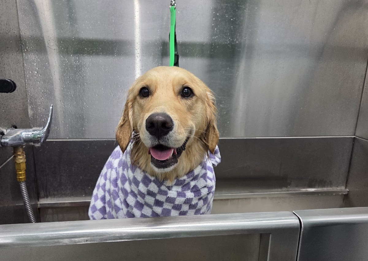 Bath (Small 0-15lbs)