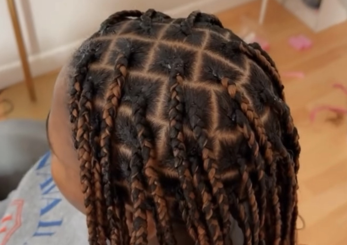 Medium Box Braids (waist length)