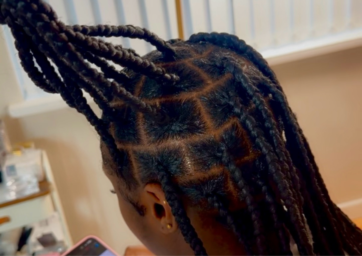 Large Box Braid (bra length)