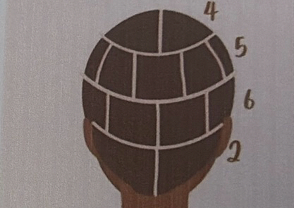 X Large Knotless Braids (waist length)