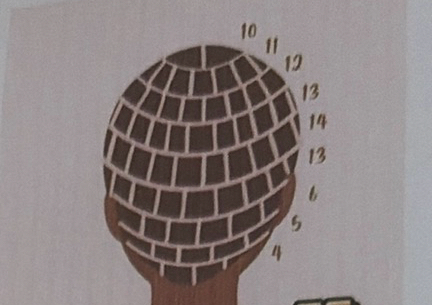 Small Box braid (shoulder lenght)