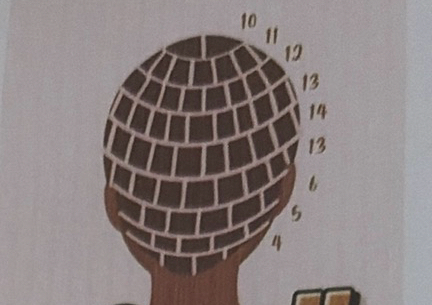 Small knotless Braid (waist lenght)