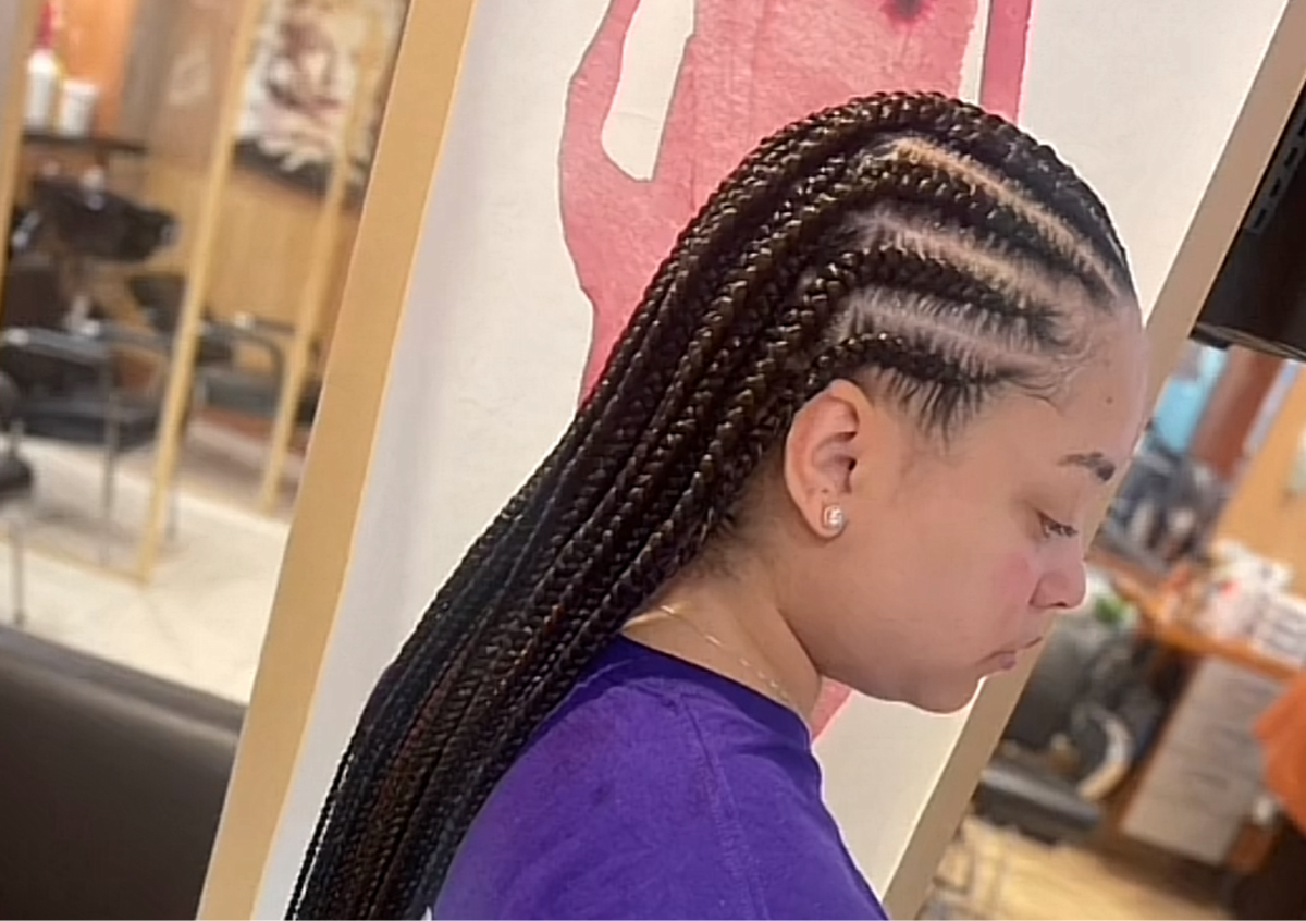 Tribal braids (1 layer and singles) Shampoo Not Included