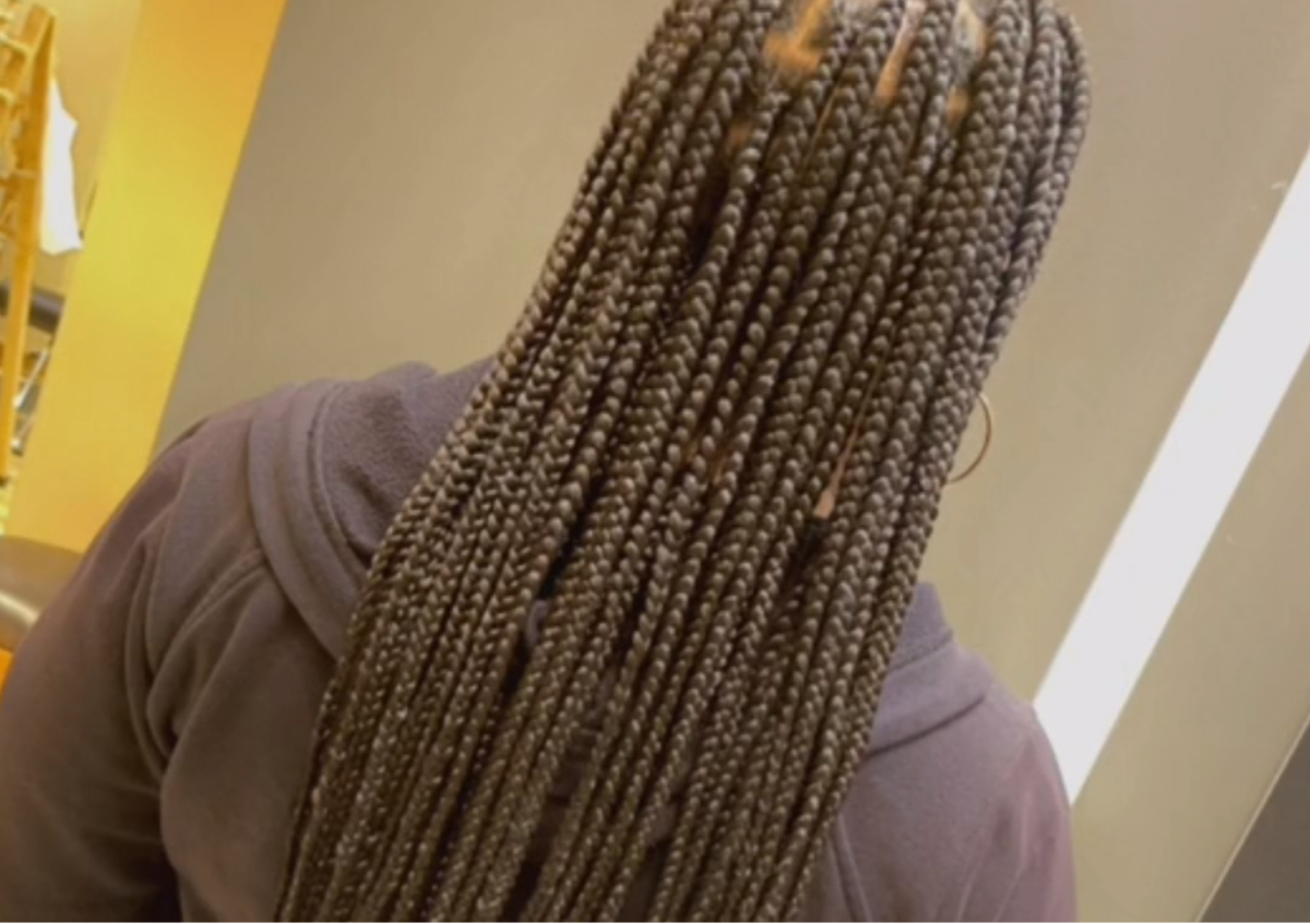 Knotless braids (medium) waist length Shampoo Not Included