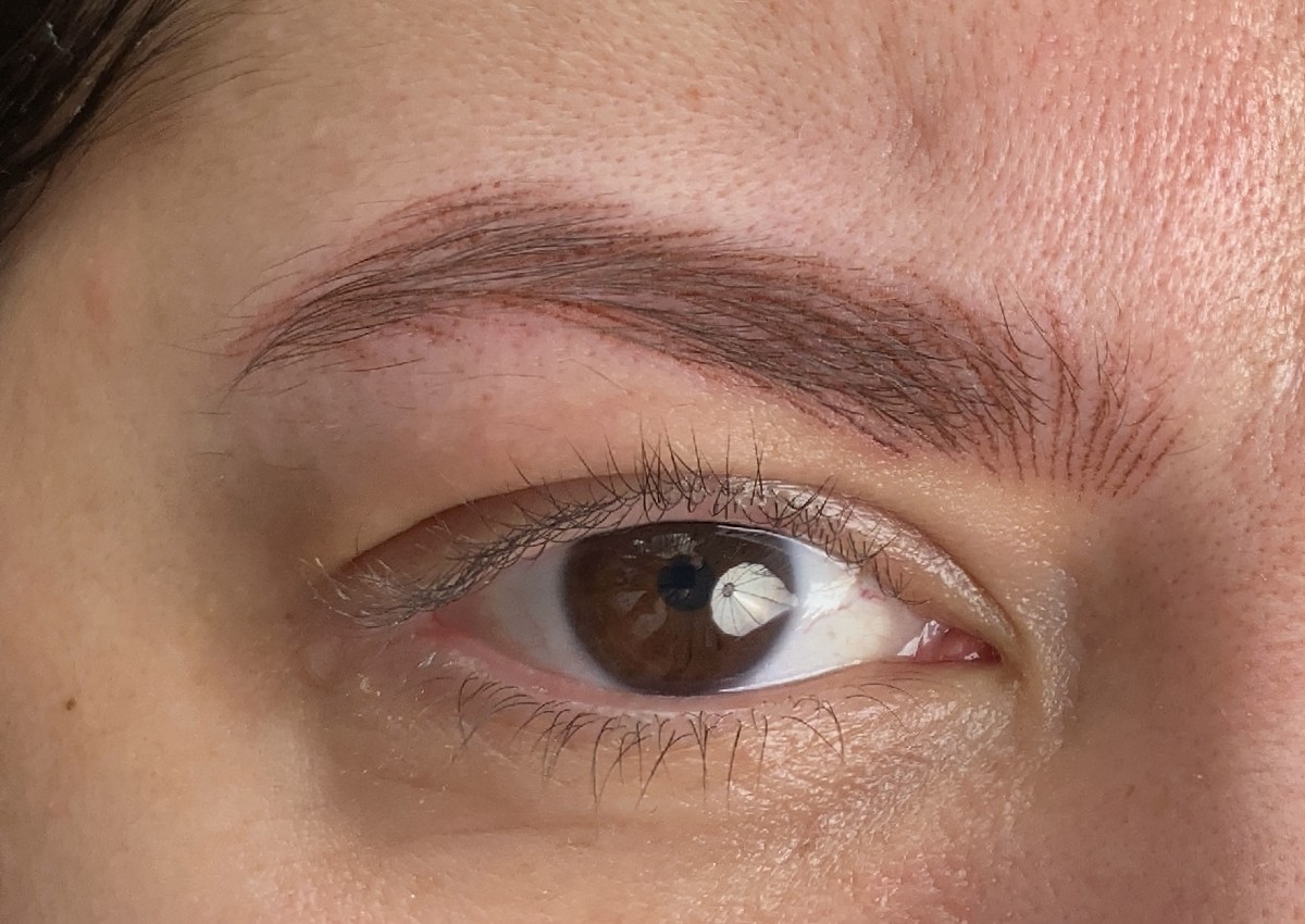 Brow Hairstroke technique  (2/2)
