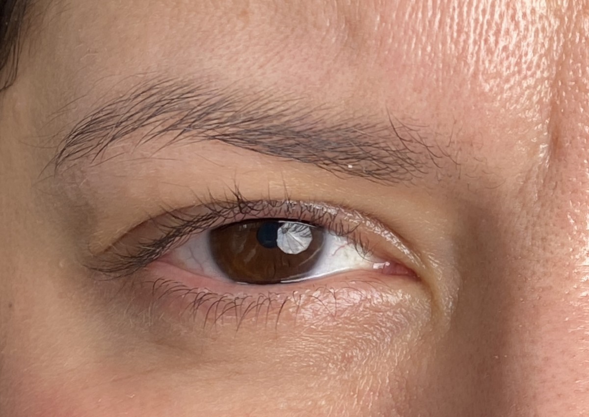 Brow Hairstroke technique  (1/2)