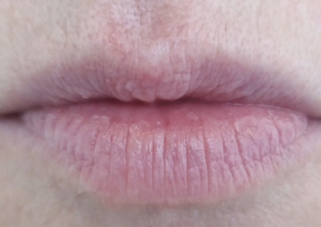 Lip Blush  (2/3)