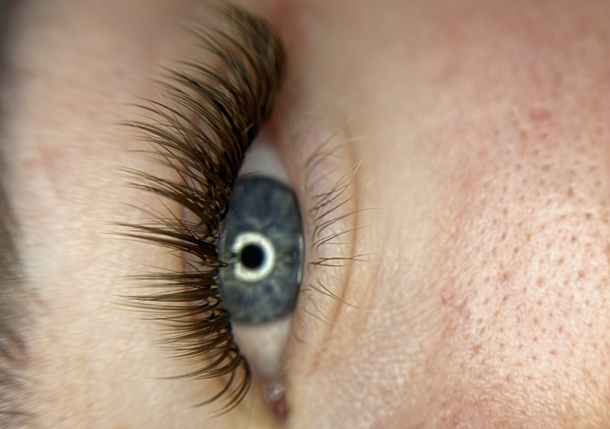 Brown Lashes (2/2)