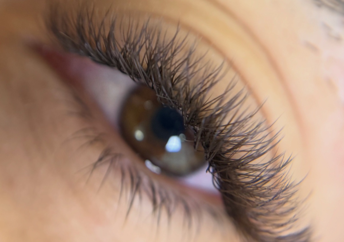 Brown YY Lashes (Full Set) (1/2)