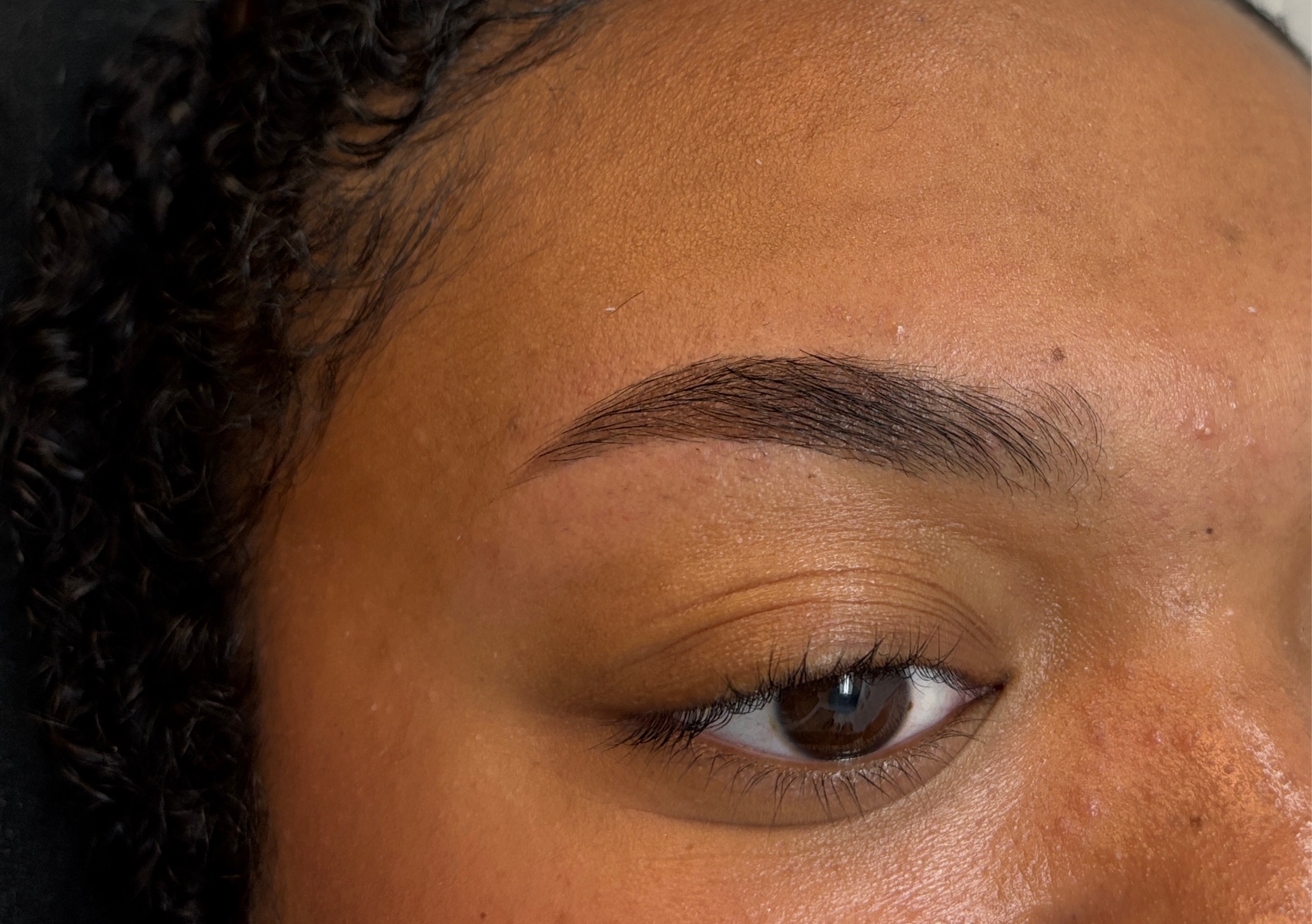 brow tint & wax 