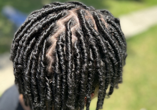 Starter Locs (neck length)