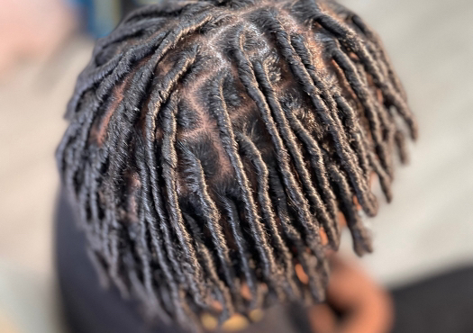 Starter Locs (short)