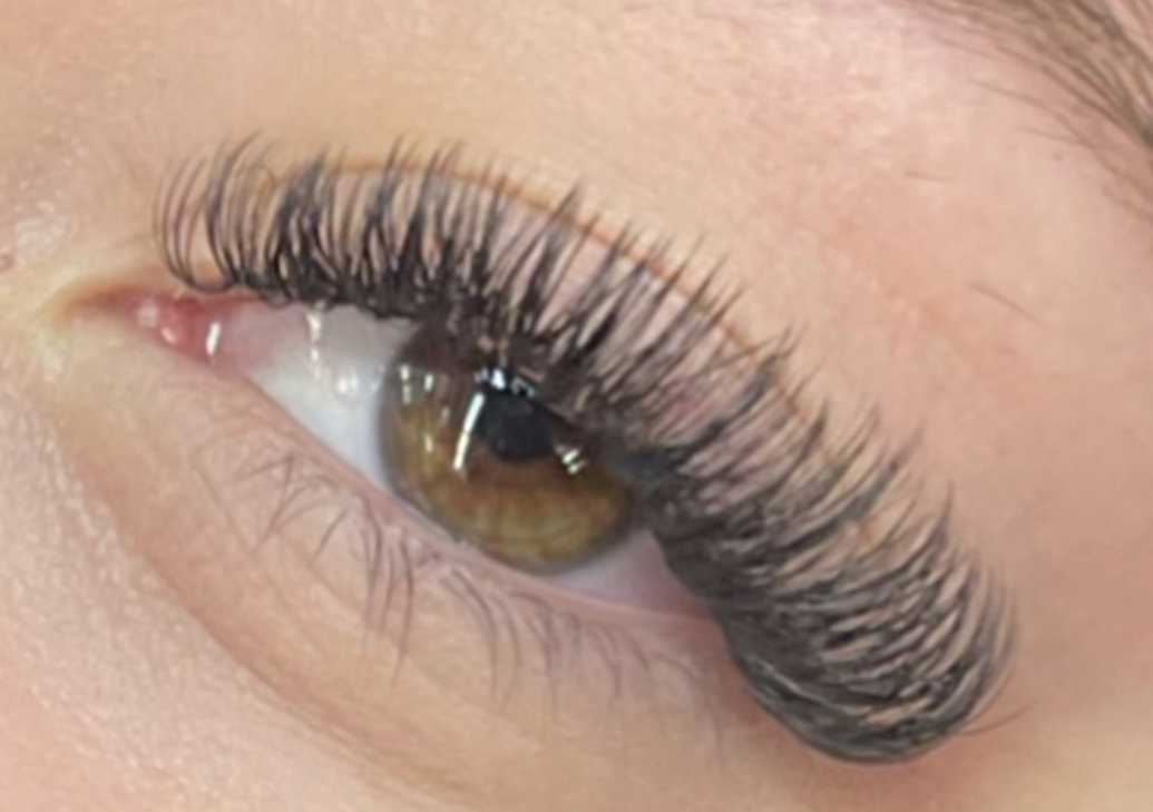 Hybrids | Hibridas O Combinadas