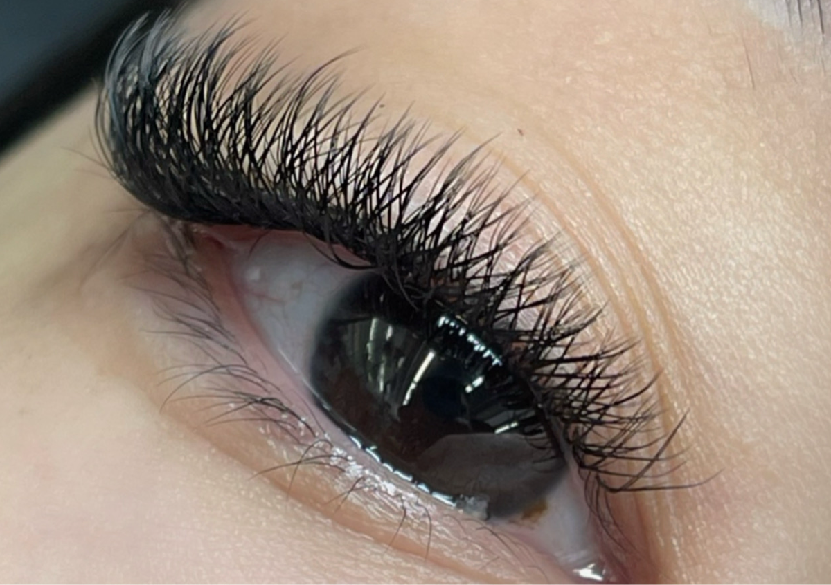 Brazilian Volume | Volumen Brasileño