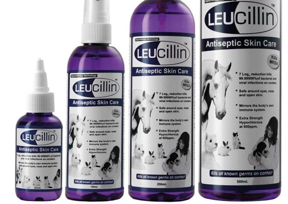 Leucillin 50ml Dropper