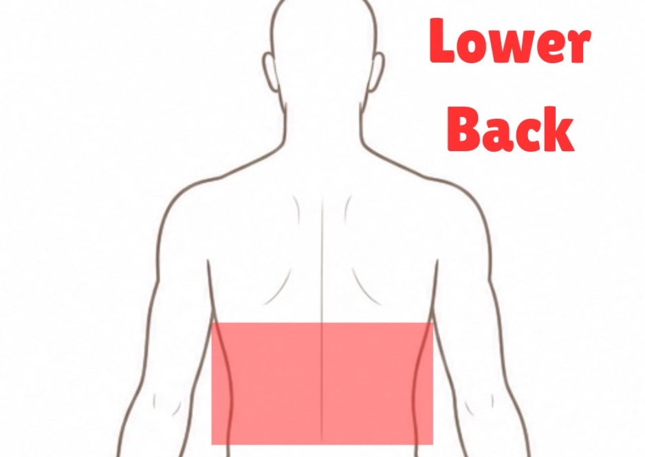 Lower Back