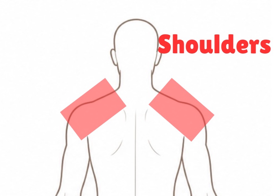 Shoulders